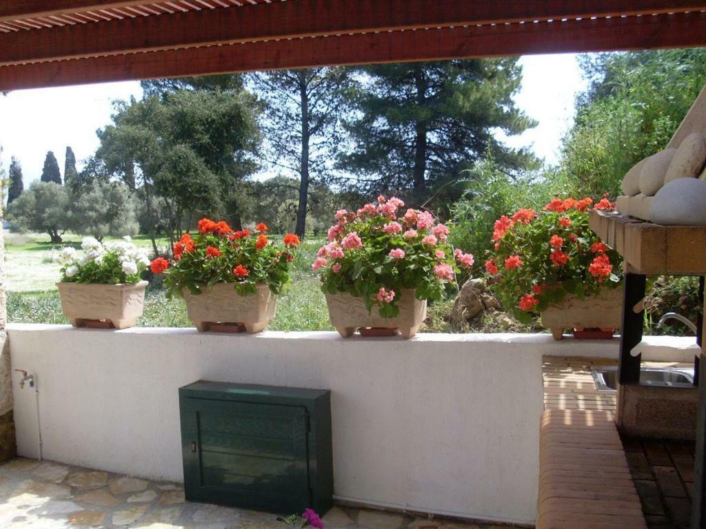 Villa Amelia Metaxáta Exterior photo